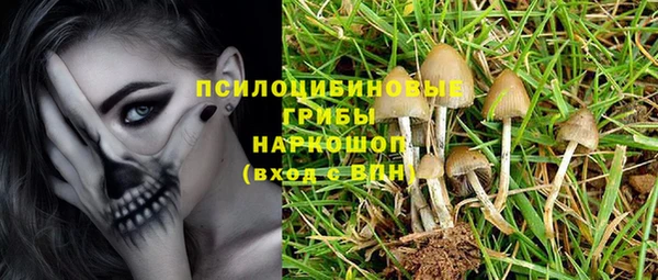 соль ск Балахна