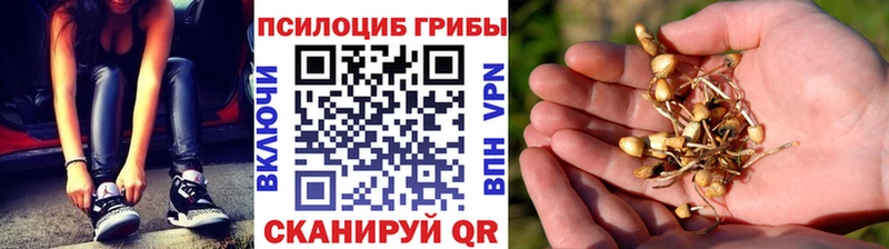 Галлюциногенные грибы Cubensis  МЕГА ONION  Жуковка  наркошоп 